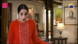 Tere Bin - Episode 13 - 8th Feb 2023